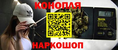 тгк Новодвинск