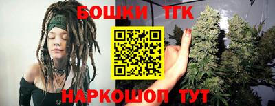 тгк Новодвинск
