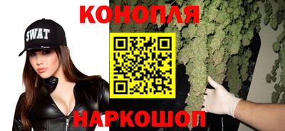 тгк Новодвинск