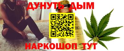 тгк Новодвинск