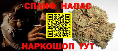 тгк Новодвинск