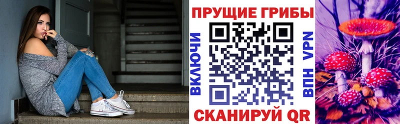 даркнет сайт  Ногинск  Галлюциногенные грибы мицелий 