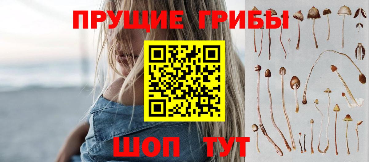 Псилоцибиновые грибы ЛСД  Галлюциногенные грибы Psilocybe  Вход с VPN  Ногинск 
