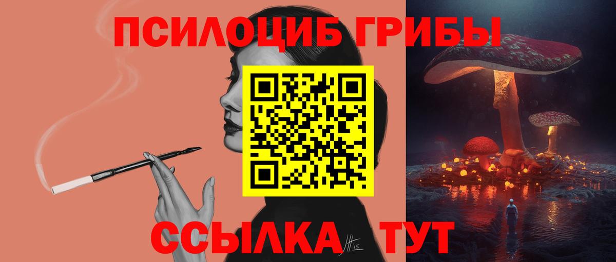 Галлюциногенные грибы Psilocybe Ногинск